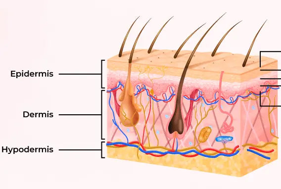 glycolic acid. glycolic acid peel. glycolic acid benefits
